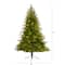6ft. Pre-Lit Colorado Mountain Fir Artificial Christmas Tree, Clear LED Lights